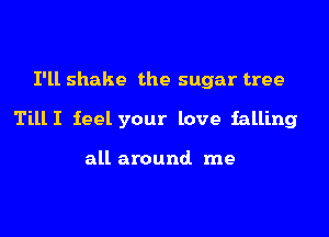 I'll shake the sugar tree

TillI feel your love falling

all around me