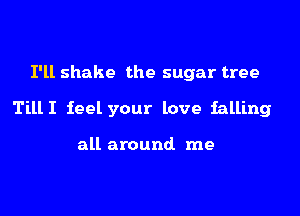 I'll shake the sugar tree

TillI feel your love falling

all around me