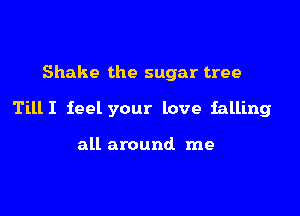 Shake the sugar tree

TillI feel your love falling

all around me