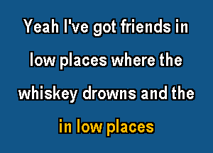 Yeah I've got friends in
low places where the

whiskey drowns and the

in low places