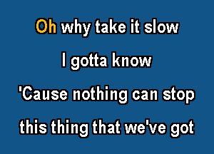 Oh why take it slow

I gotta know

'Cause nothing can stop

this thing that we've got