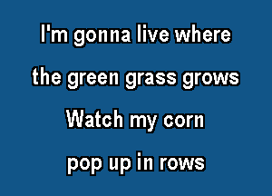 I'm gonna live where

the green grass grows

Watch my corn

pop up in rows