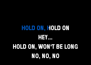 HOLD 0H, HOLD 0

HEY...
HOLD 0, WON'T BE LONG
N0, N0, N0