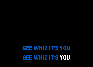GEE WHIZ IT'S YOU
GEE WHIZ IT'S YOU