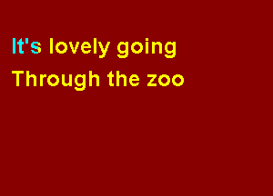 It's lovely going
Through the zoo