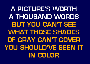 A PICTURE'S WORTH
A THOUSAND WORDS
BUT YOU CAN'T SEE
WHAT THOSE SHADES
0F GRAY CAN'T COVER
YOU SHOULD'VE SEEN IT
IN COLOR