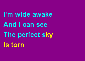 I'm wide awake
And I can see

The perfect sky
ls torn