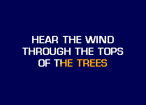 HEAR THE WIND
THROUGH THE TOPS

OF THE TREES