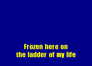 H028 BIB 0n
the ladder of my life