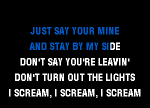 JUST SAY YOUR MIIIE
MID STAY BY MY SIDE
DON'T SAY YOU'RE LEAVIII'
DON'T TURII OUT THE LIGHTS
I SCREAM, I SCREAM, I SCREAM