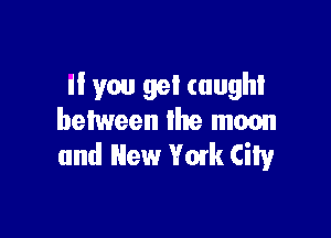 if you get caught

between the moon
and New Vowk City