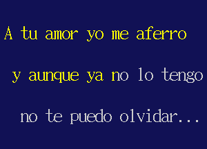 A tu amor yo me aferro

y aunque ya no lo tengo

no te puedo olvidar...