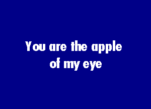 You are the apple

of my eye