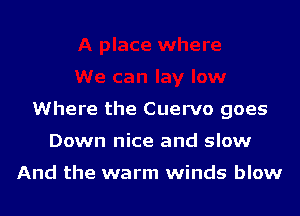 Where the Cuervo goes
Down nice and slow

And the warm winds blow