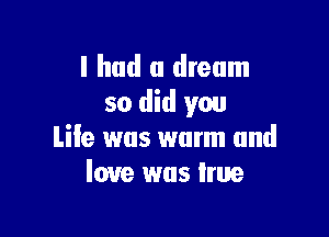 I had a dream
so did you

Lile was warm and
love was hue