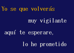 Y0 se que volver s

muy vigilante
aquf te esperare,

10 he prometido