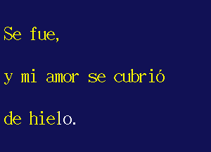 Se fue,

y mi amor se cubrio

de hielo.