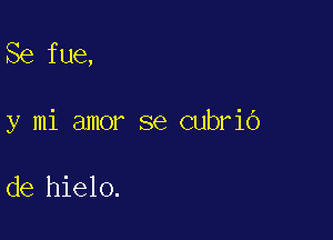 Se fue,

y mi amor se cubrio

de hielo.