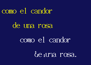 como el candor

de una rosa
como el candor

beluna rosa.