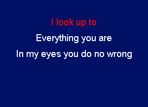 Everything you are

In my eyes you do no wrong