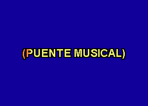 (PUENTE MUSICAL)