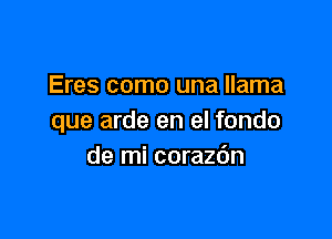 Eres como una llama

que arde en el fondo
de mi coraz6n