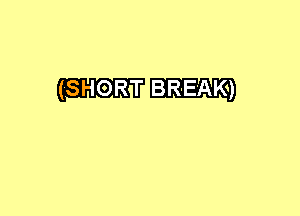 (SHORT BREAK)