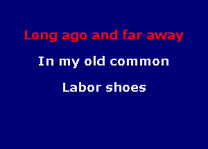 In my old common

Laborshoes