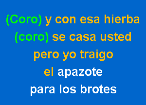 (Coro) y con esa hierba
(coro) se casa usted

pero yo traigo
el apazote
para los brotes