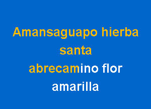 Amansaguapo hierba
santa

abrecamino flor
amarilla