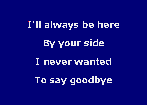 I'll always be here
By your side

I never wanted

To say goodbye