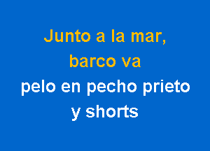 Junto a la mar,
barco va

pelo en pecho prieto
y shorts