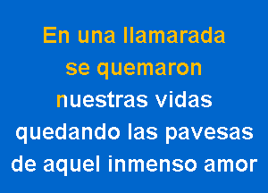 En una llamarada
se quemaron
nuestras vidas
quedando las pavesas
de aquel inmenso amor