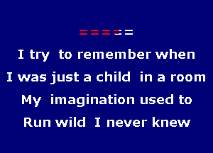 I try to remember when
I was just a child in a room
My imagination used to

Run wild I never knew
