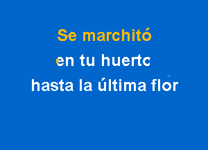 Se marchit6
en tu huertc

hasta la altima flOr