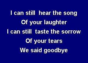 I can still hear the song
Of your laughter

I can still taste the sorrow
Of your tears
We said goodbye