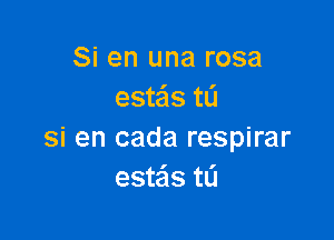 Si en una rosa
esteis tL'I

si en cada respirar
estais t0