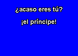 gacaso eres tL'I?

iel principe!