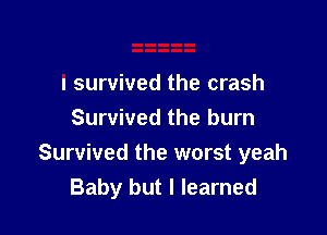 I survived the crash

Survived the burn
Survived the worst yeah
Baby but I learned