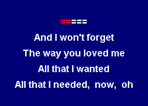 And I won't forget

The way you loved me
All that I wanted
All that I needed, now, oh