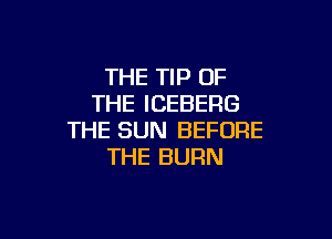 THE TIP OF
THE ICEBERG

THE SUN BEFORE
THE BURN